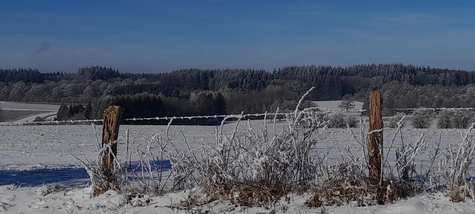 Le Sentier Des Lavandes Врес-сюр-Семуа Екстер'єр фото